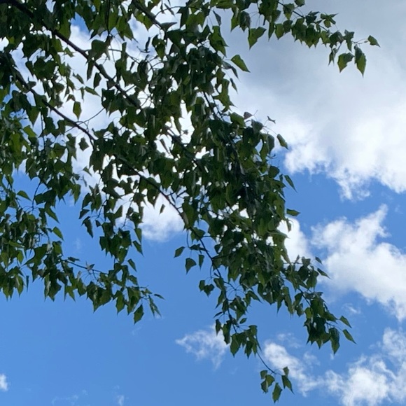 Meet your Posher, Emily - Picture 1 of 1